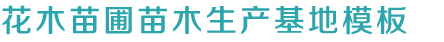 437必赢国际官方网站